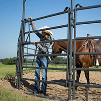 PPT50 Premier Tall Round Pen